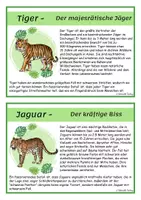 Vorschau - Arbeitsblätter - SU: Tiere des Dschungels (Kartei und Steckbrief) - Seite 2