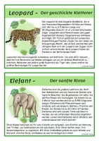 Vorschau - Arbeitsblätter - SU: Tiere des Dschungels (Kartei und Steckbrief) - Seite 3
