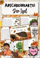 Vorschau - Aufgabenkarten - Igel - Abschreibkartei | Druckschrift - Deckblatt
