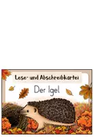 Vorschau - Aufgabenkarten - Igel - Abschreibkartei | Druckschrift - Seite 1