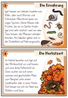 Vorschau - Aufgabenkarten - Igel - Abschreibkartei | Druckschrift - Seite 3