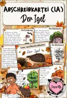 Vorschau - Aufgabenkarten - Igel - Abschreibkartei | LA / Lateinische Ausgangsschrift - Deckblatt