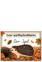 Vorschau - Aufgabenkarten - Igel - Abschreibkartei | LA / Lateinische Ausgangsschrift - Seite 1
