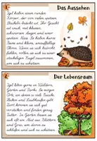 Vorschau - Aufgabenkarten - Igel - Abschreibkartei | LA / Lateinische Ausgangsschrift - Seite 2