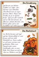Vorschau - Aufgabenkarten - Igel - Abschreibkartei | LA / Lateinische Ausgangsschrift - Seite 3
