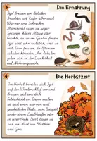 Vorschau - Aufgabenkarten - Igel - Abschreibkartei | SAS / Schulausgangsschrift - Seite 3