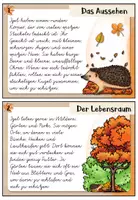 Vorschau - Aufgabenkarten - Igel - Abschreibkartei | VA / Vereinfachte Ausgangsschrift - Seite 2
