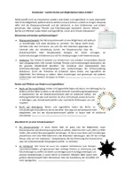 Vorschau - Arbeitsblätter - Arbeitsblatt: Politische Beteiligung & Rechte von Schülern (mit Lösung) - Deckblatt
