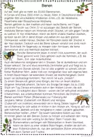 Vorschau - Arbeitsblätter - Bienen Leseweg, Sachtext, Leseförderung Sachunterricht, Leseverständnis, Lesetraining, Lesekompetenz - Seite 2