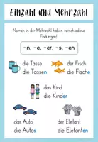 Vorschau - Arbeitsblätter - Einzahl und Mehrzahl - Visualisierung und Mini-Heft - Seite 3
