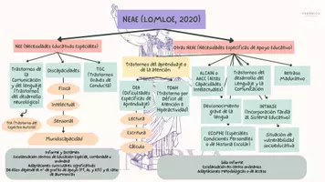 Vista previa - Tarjetas / Manipulativos - Clasificación NEAE según la LOMLOE (2020) - Portada