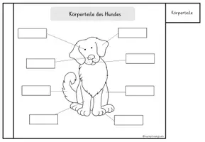 Vorschau - Arbeitsblätter - Flipbook: Das kleine Wissensbuch über Hunde - Seite 3
