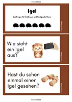 Vorschau - Bildkarten - Der Igel: Impulsfragen für Einstieg / Aktivierung / Erhebung v. Präkonzepten - Seite 1