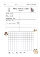 Vorschau - Arbeitsblätter - Daten und Häufigkeiten – Unsere Klasse in Zahlen (Mathematik / Sachunterricht) - Seite 2