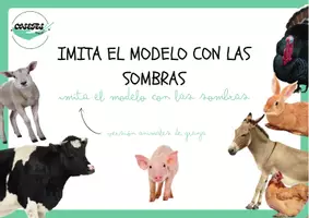 Vista previa - Tarjetas / Manipulativos - IMITA EL MODELO CON LAS SOMBRAS ANIMALES DE GRANJA - página 1