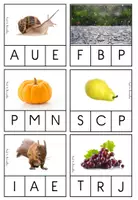 Aperçu - Feuilles d'exercices - CARTES A PINCES PHONOLOGIE AUTOMNE 🍁🍂 - Page 2