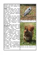 Vorschau - Arbeitsblätter - Wirbeltiere - Sprachsensibles Material - Seite 2