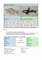 Vorschau - Arbeitsblätter - Wirbeltiere - Sprachsensibles Material - Seite 3
