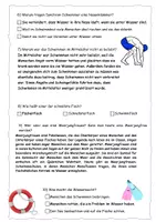 Vorschau - Arbeitsblätter - Quiz zur Schwimm-Reportage (mit Lösung) - Seite 3