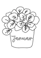 Vorschau - Mal- und Bastelvorlagen - Geburtstagskalender - Pflanzen Boho - Zum Ausmalen - Seite 2