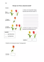 Vorschau - Arbeitsblätter - Übungen zum Thema "Dihybride Kreuzung" - Seite 1