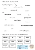 Vorschau - Stundenentwürfe - Les adjectifs: Lernplakat + Übungen - Seite 1