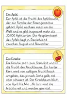 Vorschau - Aufgabenkarten - Abschreibkartei 4. Klasse: Früchte | Grundschrift - Seite 3