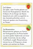 Vorschau - Aufgabenkarten - Abschreibkartei 3. Klasse: Früchte | Grundschrift - Seite 2