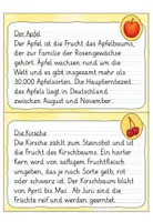 Vorschau - Aufgabenkarten - Abschreibkartei 3. Klasse: Früchte | Grundschrift - Seite 3