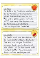 Vorschau - Aufgabenkarten - Abschreibkartei 2. Klasse: Früchte | Grundschrift - Seite 3