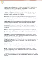 anteprima - Esercizi - Vocabolario: Animali (teoria di base + esercizi) in spagnolo - Pagina 3