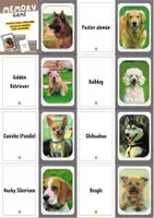 Vista previa - Tarjetas / Manipulativos - Juego de memoria de perros | Razas caninas para niños - página 1