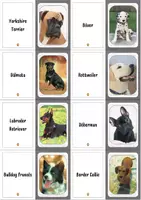 Vista previa - Tarjetas / Manipulativos - Juego de memoria de perros | Razas caninas para niños - página 3
