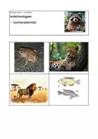 Vorschau - Arbeitsblätter - Evolution - Sortieraktivität zu den Isolationstypen - Deckblatt