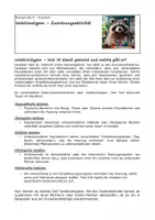 Vorschau - Arbeitsblätter - Evolution - Sortieraktivität zu den Isolationstypen - Seite 1