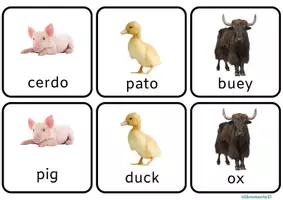 Vista previa - Juegos / Gamificación - Memory animales - CASTELLANOINGLÉS - página 3
