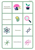 Vorschau - Spiele - Merk es dir! Biologie Denk- und Laufspiel - Seite 3