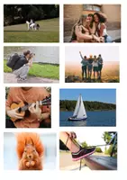 Vorschau - Spiele - Kennenlernspiel_What’s your picture - Seite 1
