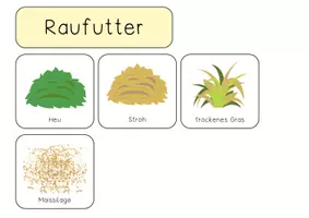 Vorschau - Aufgabenkarten - Reitpädagogik : Futtermittel Pferd Freebie - Seite 1