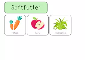 Vorschau - Aufgabenkarten - Reitpädagogik : Futtermittel Pferd Freebie - Seite 3