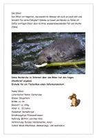 Vorschau - Arbeitsblätter - Der Biber Texte Aufgaben Lösungen - Seite 1