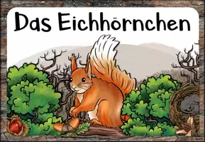 Vorschau - Arbeitsblätter - Eichhörnchen | Einführungsstunde: Geschichte, ABs, Fotos - Seite 2