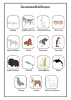 Aperçu - Apprentissages en autonomie - Les animaux de la banquise - Page 1