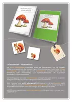 Vorschau - Stationenlernen - Klettmappen Herbst | Groß oder klein | Level 1 + 2 - Seite 1