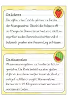 Vorschau - Aufgabenkarten - Abschreibkartei 3. Klasse: Früchte | Druckschrift - Seite 2