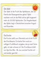 Vorschau - Aufgabenkarten - Abschreibkartei 3. Klasse: Früchte | Druckschrift - Seite 3