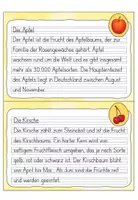 Vorschau - Aufgabenkarten - Abschreibkartei 2. Klasse: Früchte | Druckschrift - Seite 3