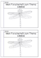 Vorschau - Arbeitsblätter - Materialpaket - Gewässer - Seite 1