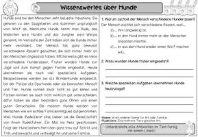 Vorschau - Arbeitsblätter - Differenzierte Lesetexte - "Rund um Hunde" I Kl. 1-3 - Seite 1