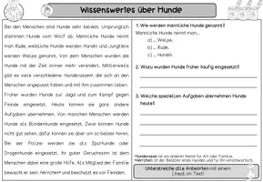 Vorschau - Arbeitsblätter - Differenzierte Lesetexte - "Rund um Hunde" I Kl. 1-3 - Seite 2